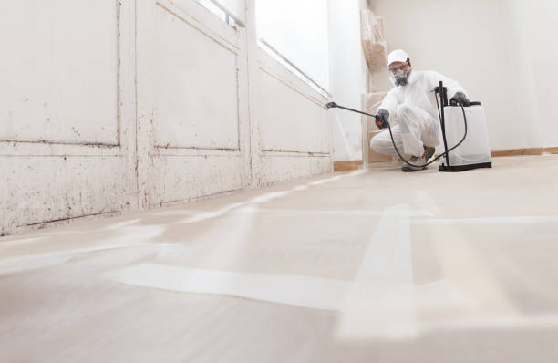 24/7 Emergency Commercial Mold Remediation experts in Voorhees, NJ